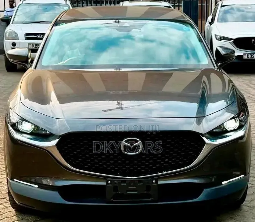 Mazda CX-30 2019 Gray