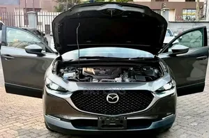 Mazda CX-30 2019 Gray