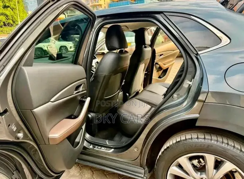 Mazda CX-30 2019 Gray