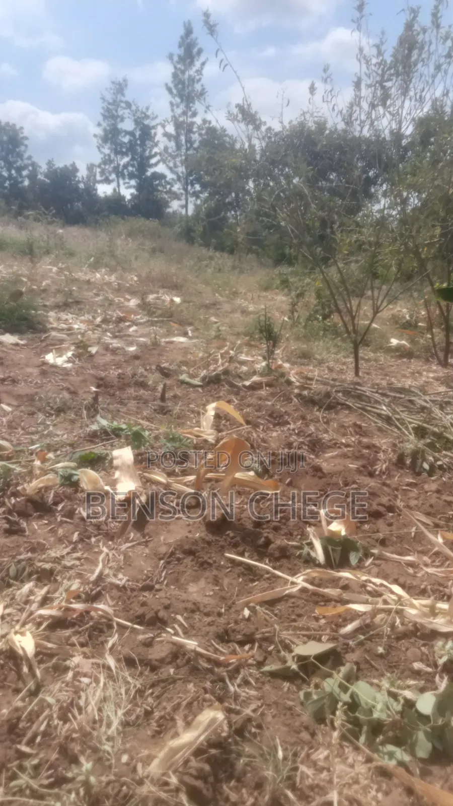 4acre Land for Sale in Maragua Ridge
