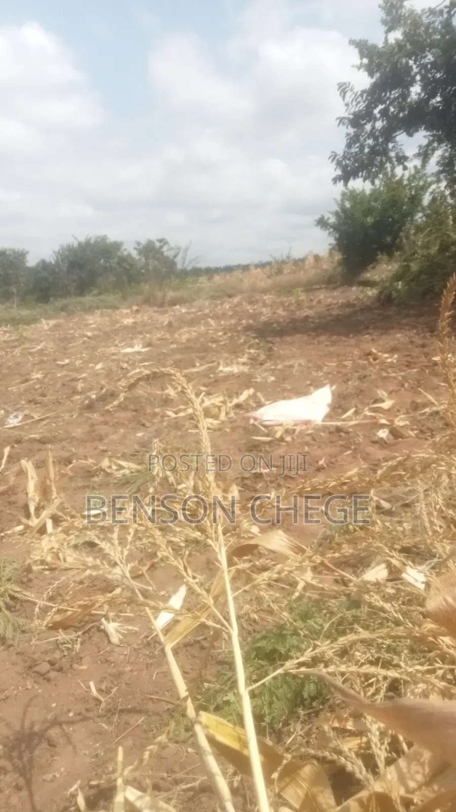 4acre Land for Sale in Maragua Ridge