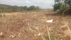 4acre Land for Sale in Maragua Ridge