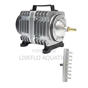 High-Pressure Air Blower for Sewage, Ponds Industrial Water Aeration