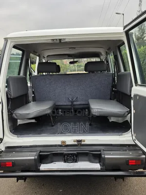 Toyota Land Cruiser 76 Series 2010 Pearl