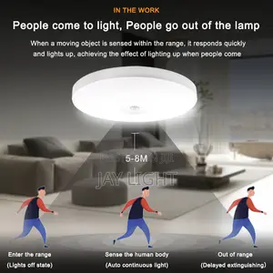 White Light LED Human Body Sensor Ceiling Light for Stair Corridor