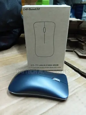 Dual Mode USB Rechargeable Wireless Silent Mouse - Black