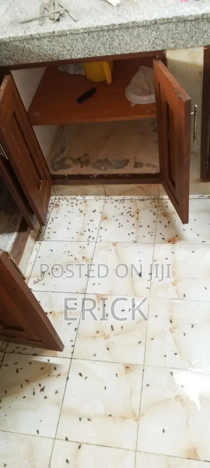Professional Fumigators in Mombasa Kilifi Malindi