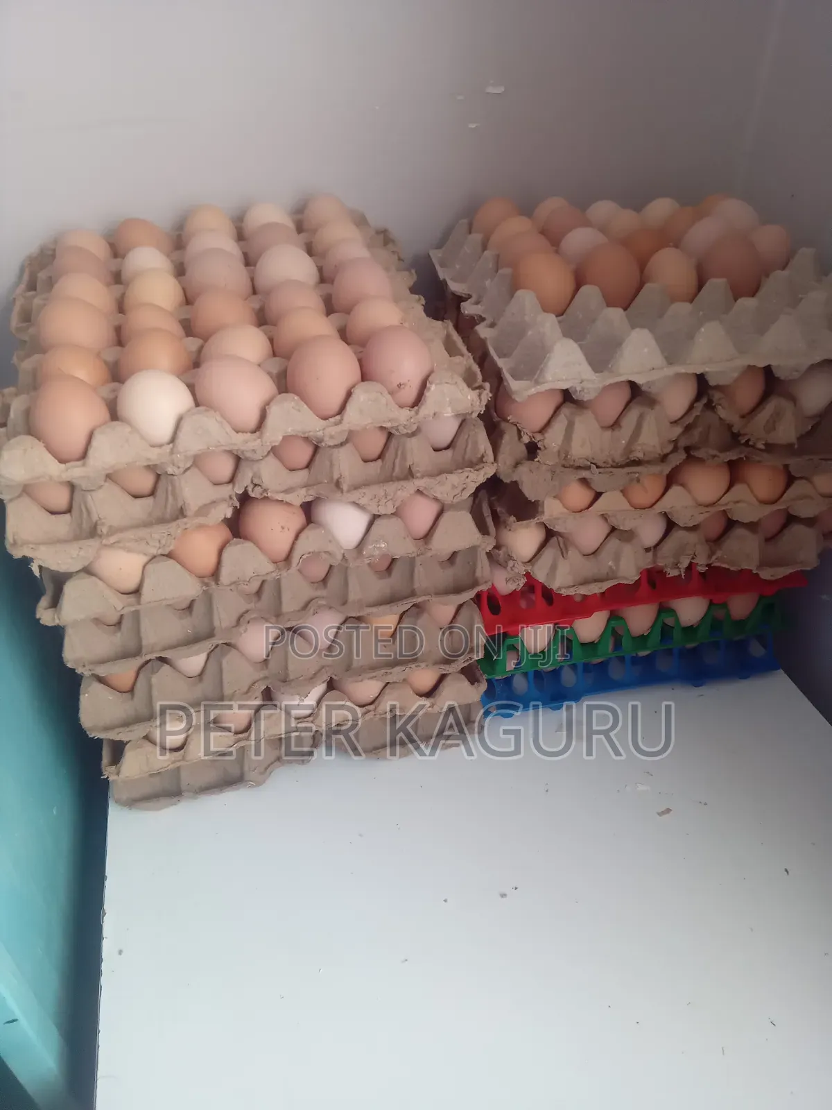 Improved Kienyeji Eggs