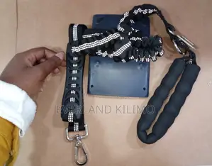 Training Padded Handles Dog Leash