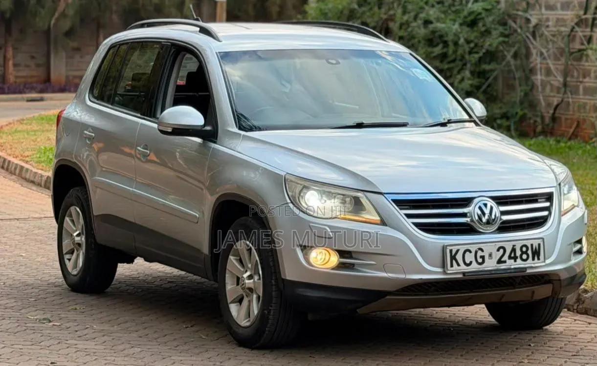 Volkswagen Tiguan 2009 Silver