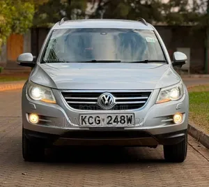 Volkswagen Tiguan 2009 Silver