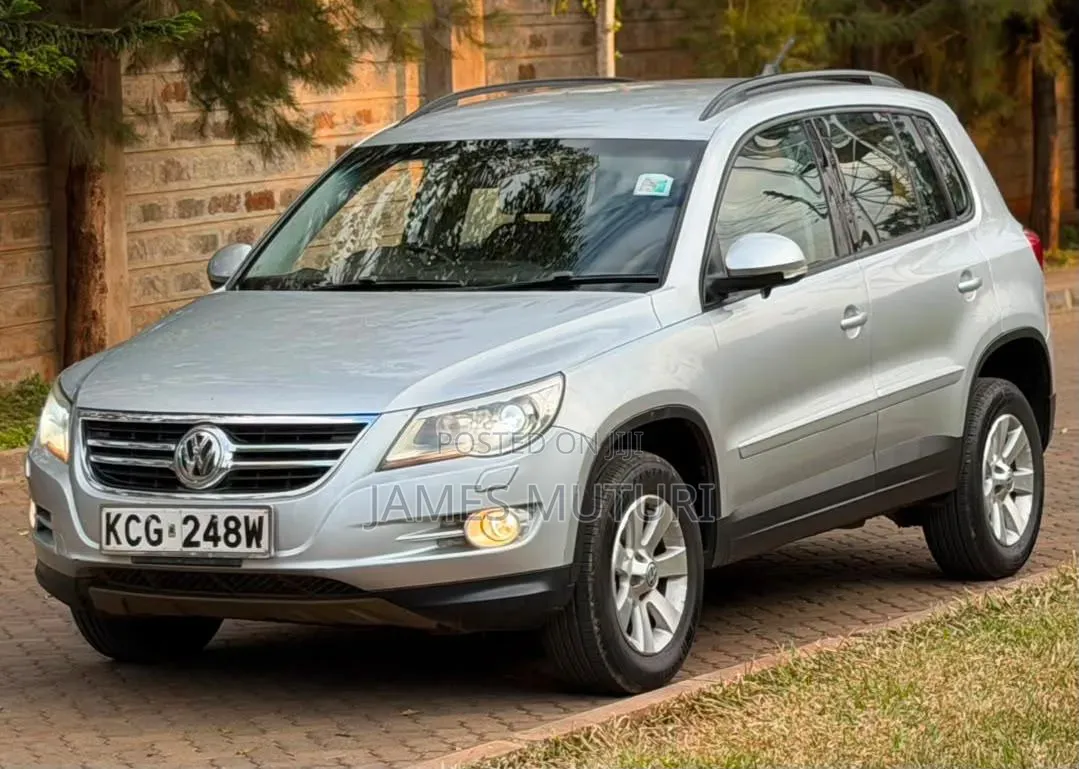 Volkswagen Tiguan 2009 Silver
