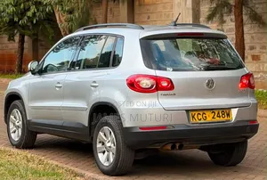 Volkswagen Tiguan 2009 Silver