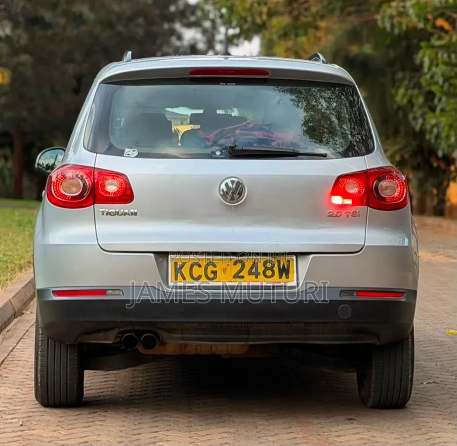 Volkswagen Tiguan 2009 Silver
