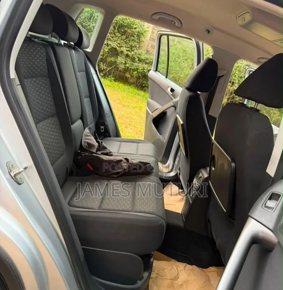 Volkswagen Tiguan 2009 Silver