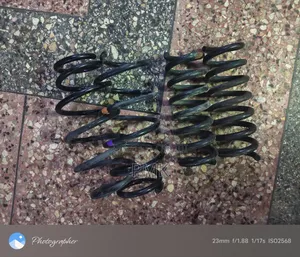 Volkswagen Golf Mk5 Springs