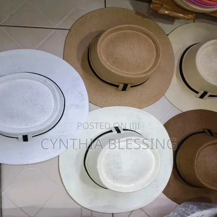 Stylish Fedora Hats New