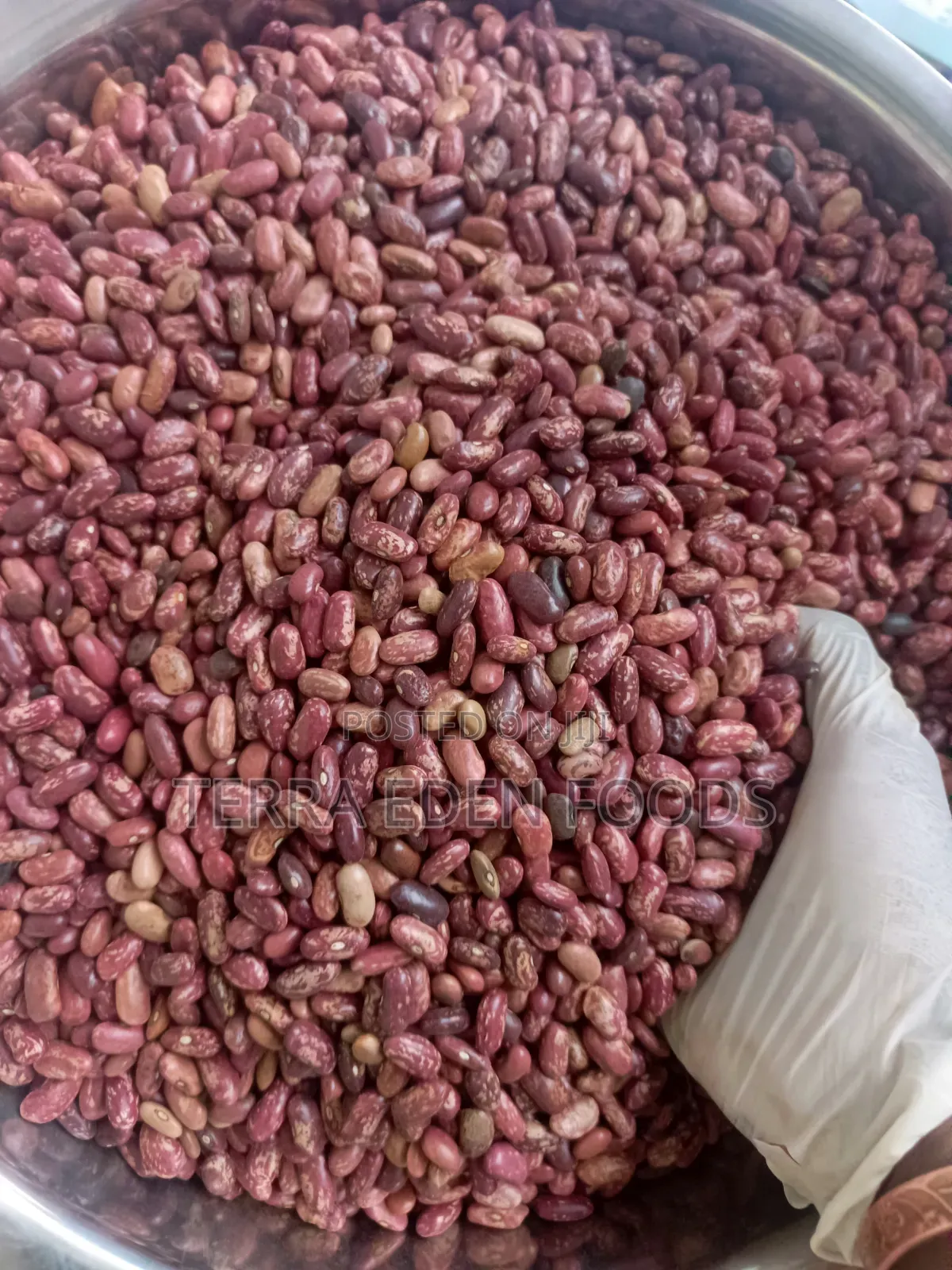 Saitoti Beans