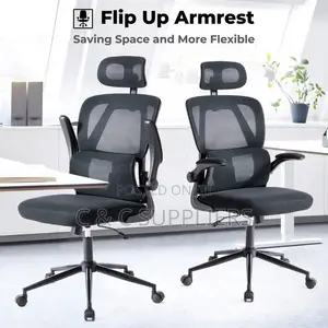 High Back Ergonomic Mesh Office Chair