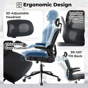 High Back Ergonomic Mesh Office Chair
