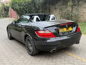Mercedes-Benz SLK-Class SLK250 2dr Convertible (1.8L 4cyl Turbo 7A)