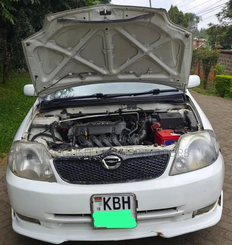 Toyota Corolla RunX 2003 White