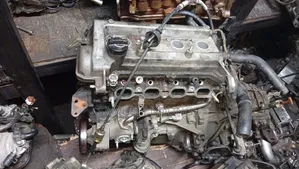 Automotive Mechanic