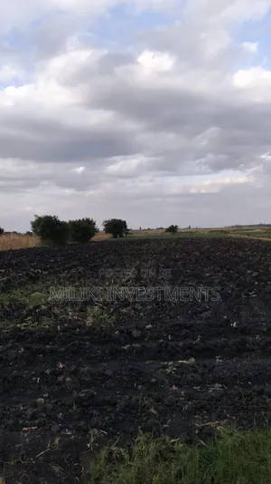 7 Acres of Land on Sale at Kirinyaga-Rukanga