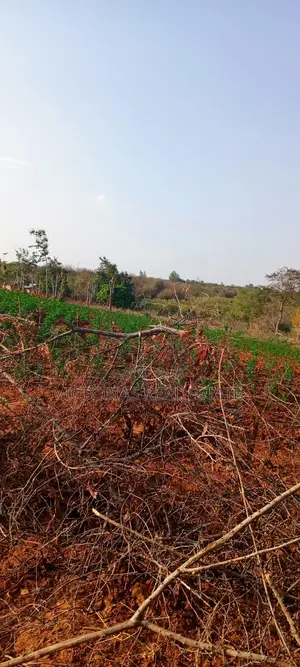 Plots at Kivaa, Masinga Subcounty Machakos Country.