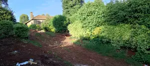 1.2 Acres for Sale