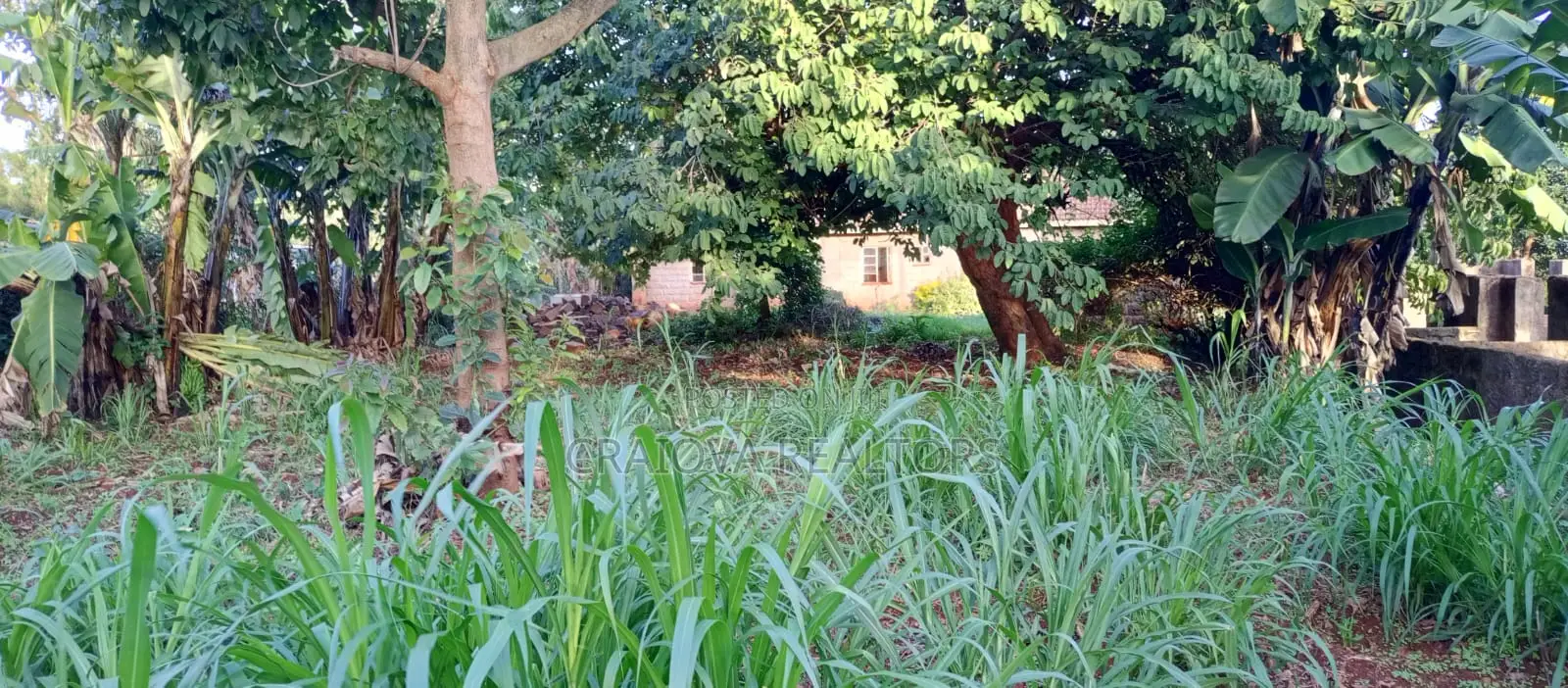 1.2 Acres for Sale