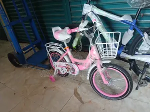 Pink Lady Bike With Removable Training Wheel Adjustable Padded Seat
