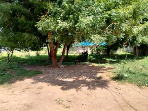 Plot for Sale in Thika Kibute and Watamu Malindi