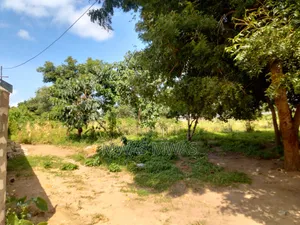 Plot for Sale in Thika Kibute and Watamu Malindi
