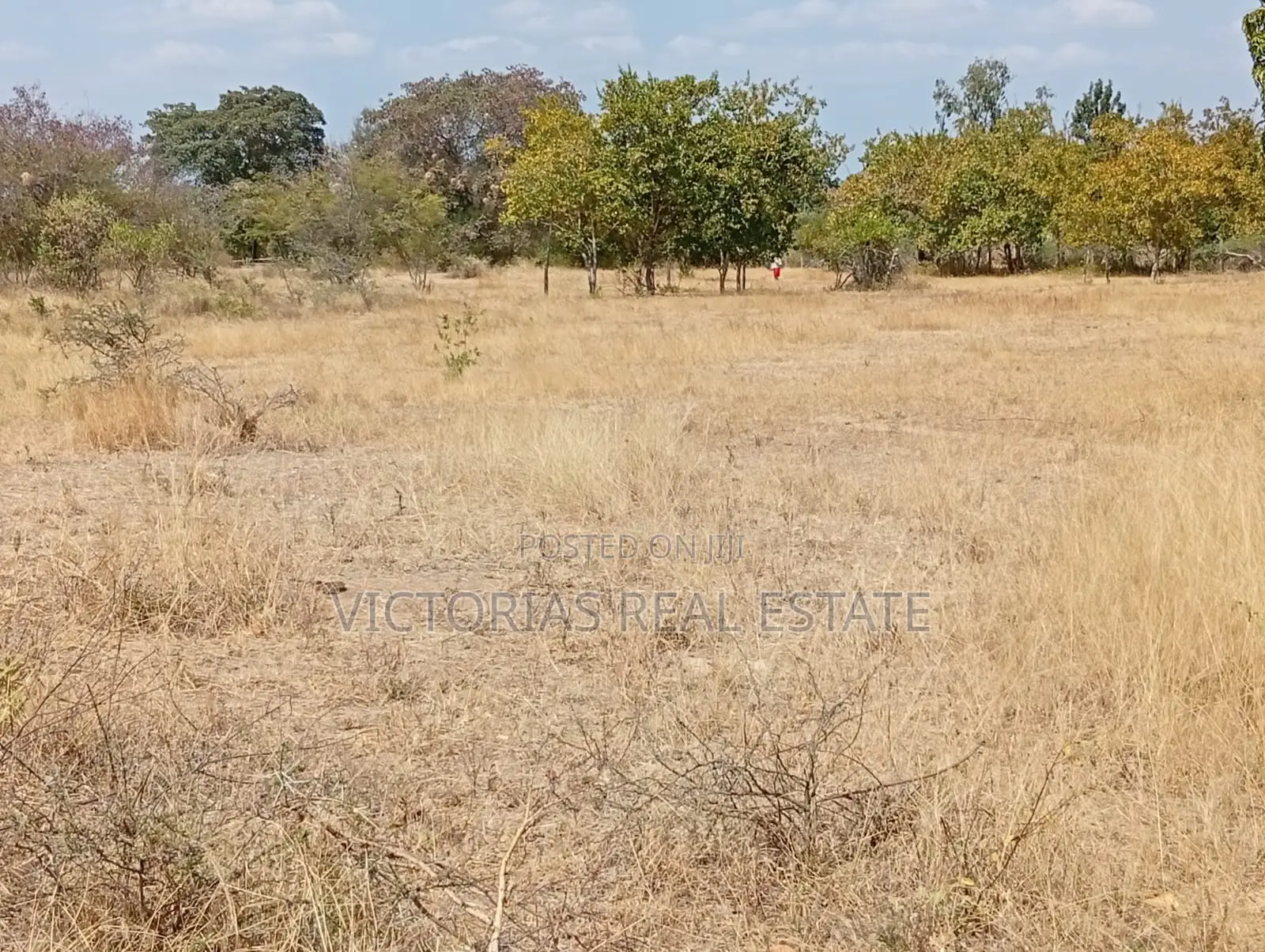 Plots at Miangeni Kithyoko Masinga Subcounty