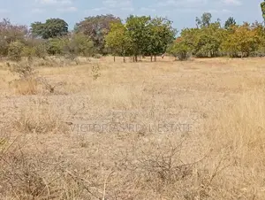 Plots at Miangeni Kithyoko Masinga Subcounty