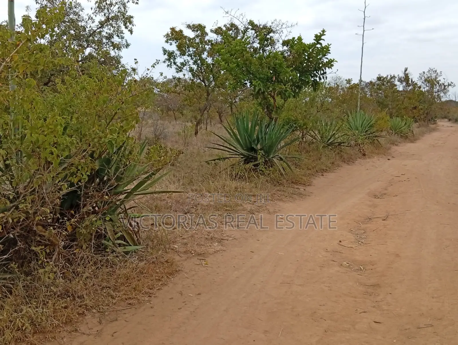 Plots at Miangeni Kithyoko Masinga Subcounty