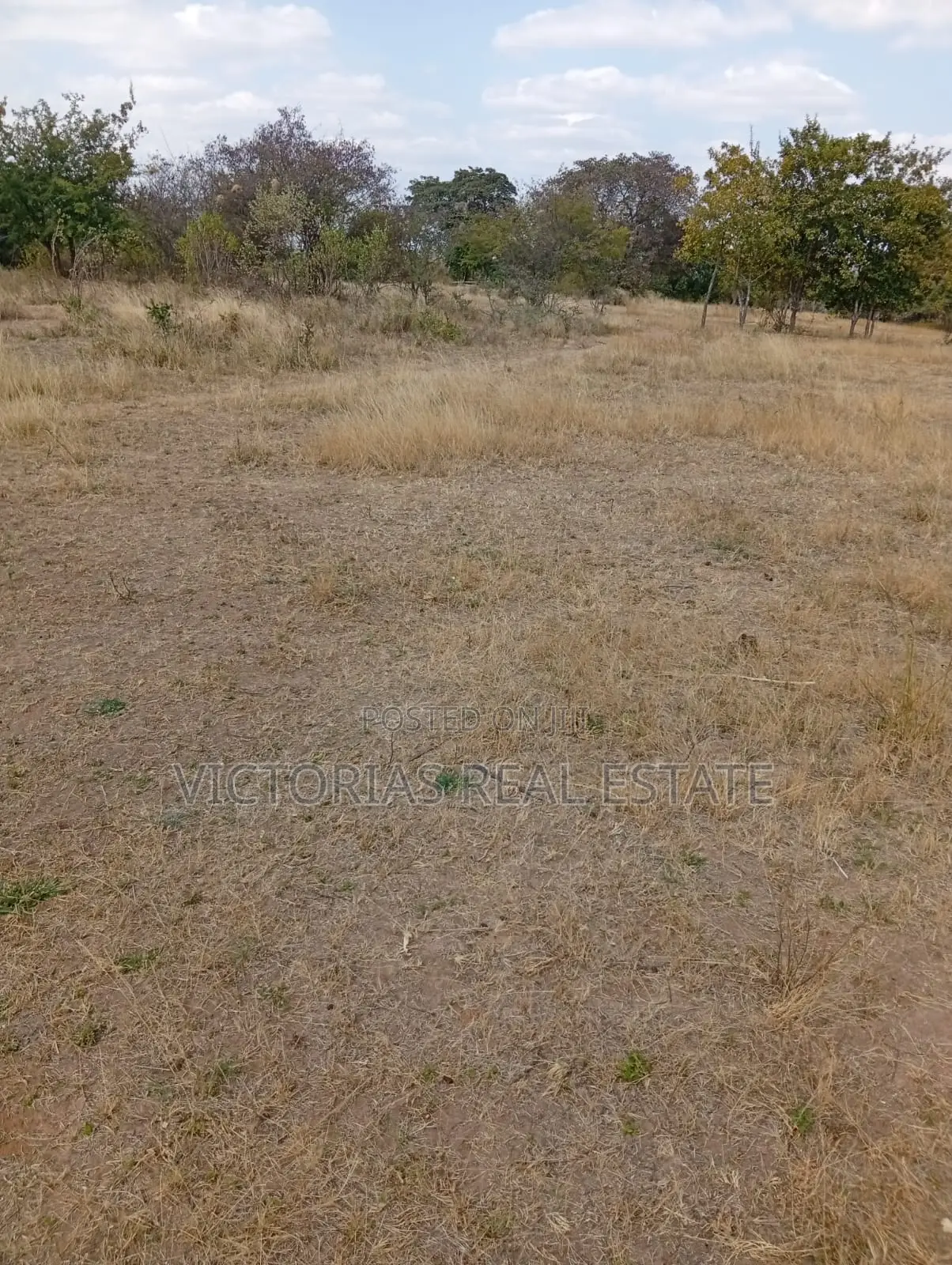 Plots at Miangeni Kithyoko Masinga Subcounty