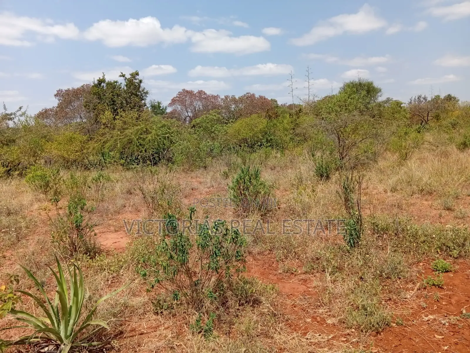 Plots at Miangeni Kithyoko Masinga Subcounty