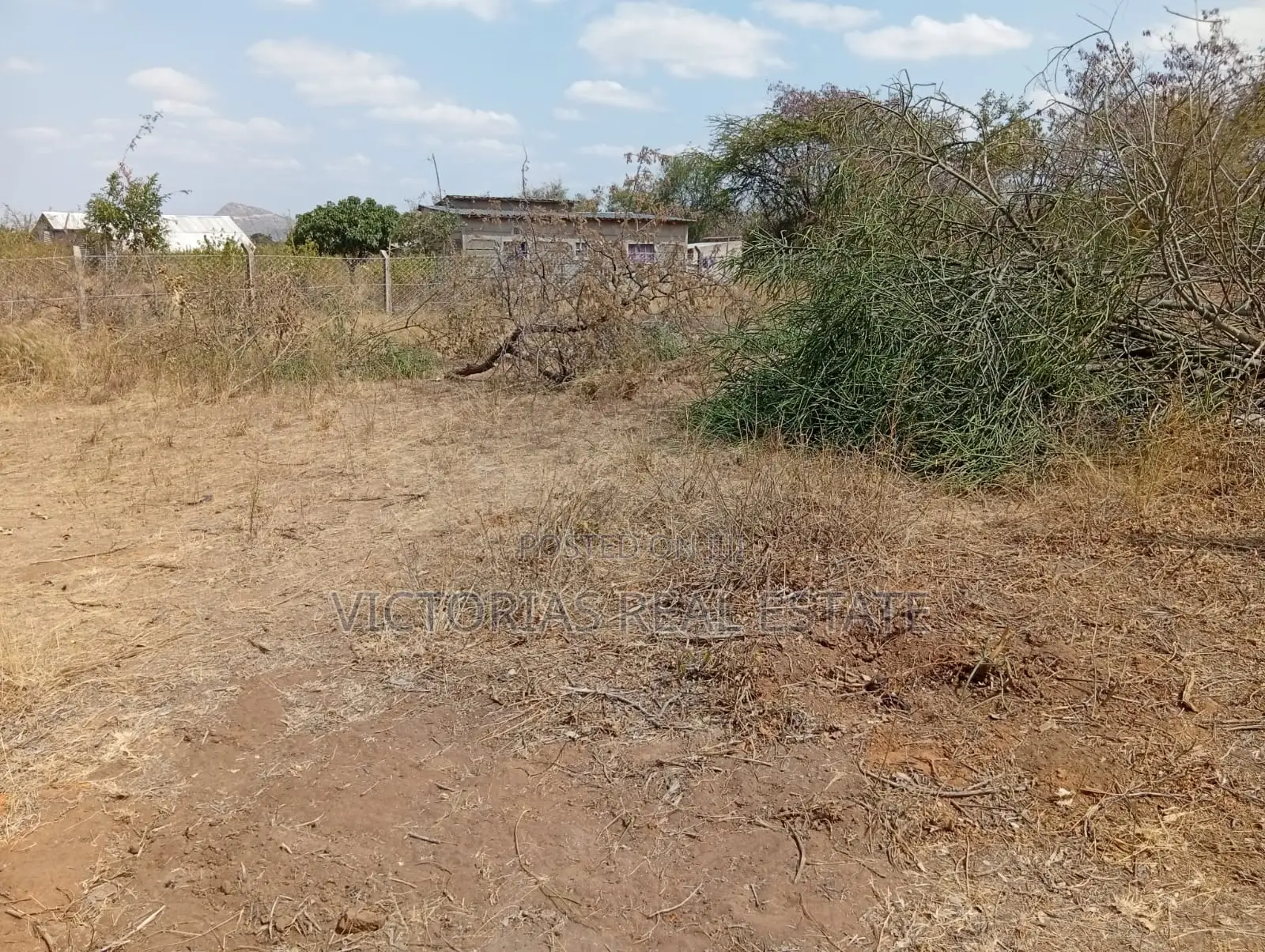 Plots at Miangeni Kithyoko Masinga Subcounty