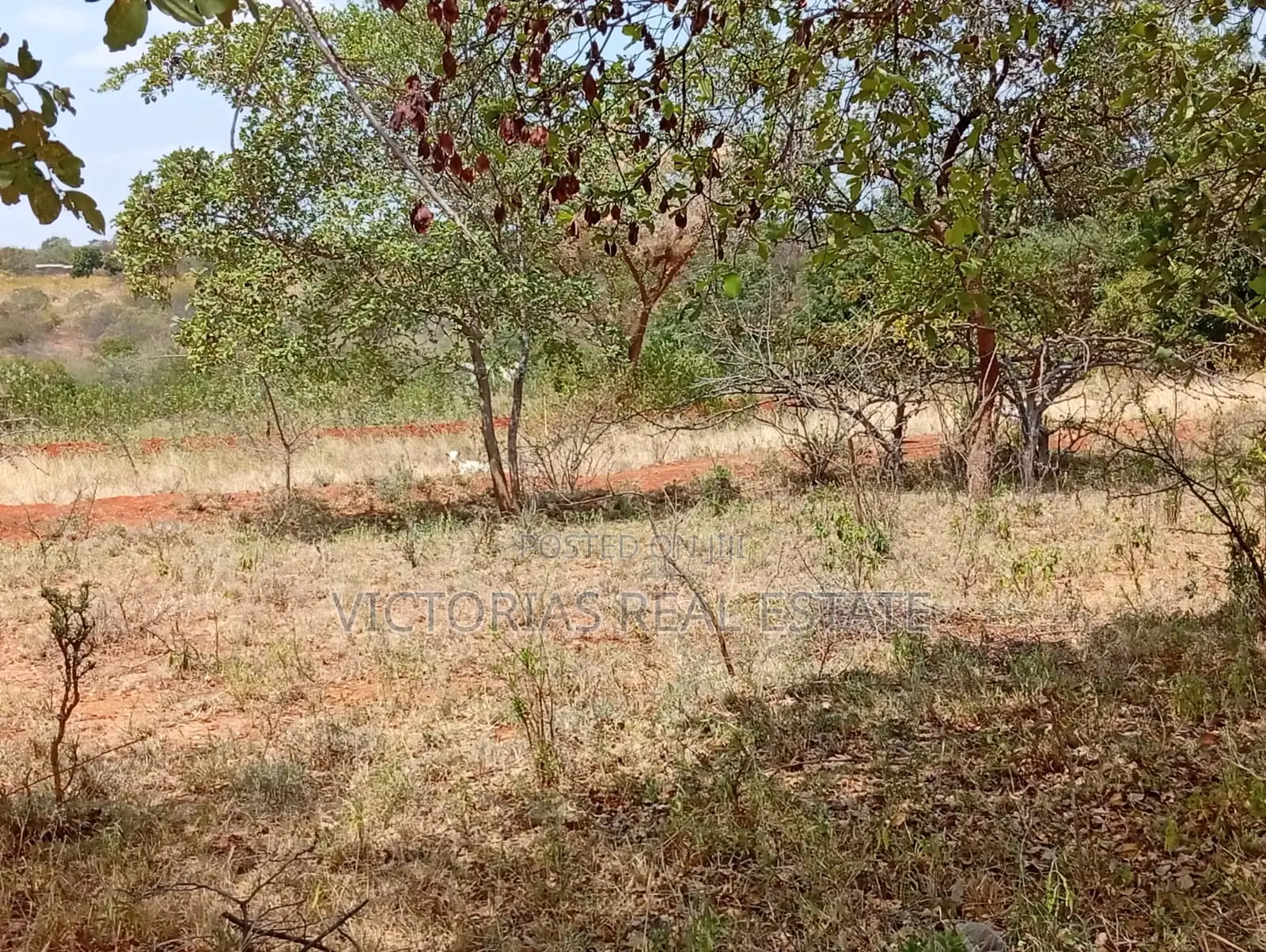 Plots at Miangeni Kithyoko Masinga Subcounty