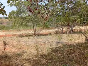 Plots at Miangeni Kithyoko Masinga Subcounty
