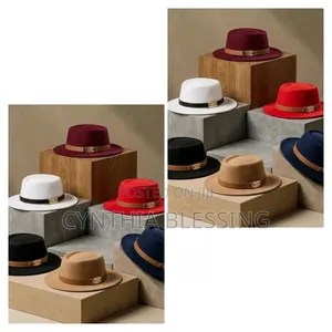 New Style Fashion Fedora Hats in Various Colors