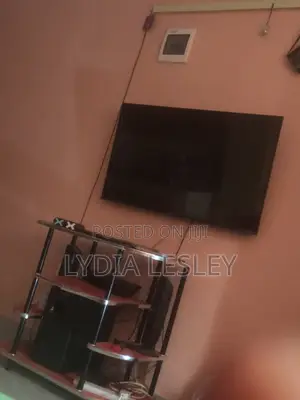 Household Electronic