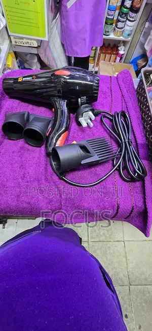 Sayona Professional Hair Dryer