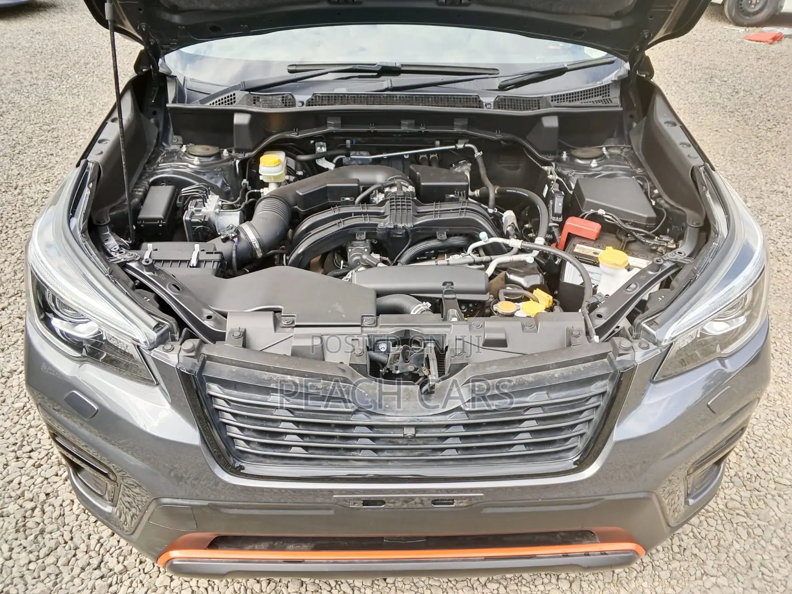 Subaru Forester 2019 Gray