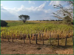 10 Acres of Fenced Agricultural Land for Sale in Olorroito, Narok