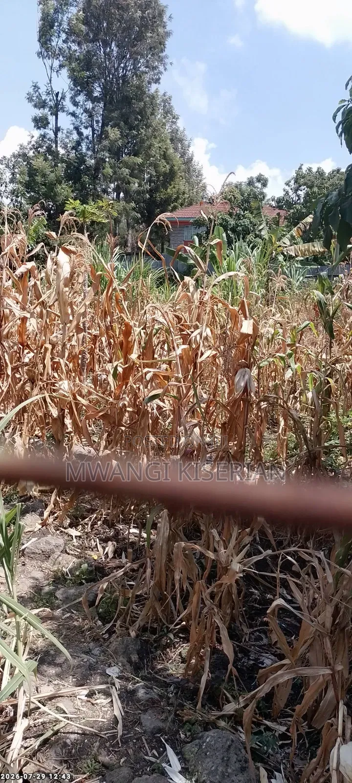 100by100 Plot for Sale in Kiserian Kahuho