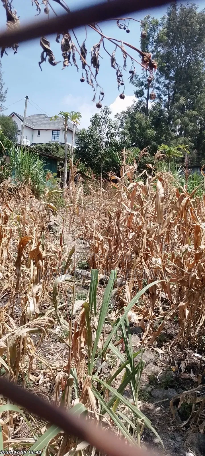 100by100 Plot for Sale in Kiserian Kahuho