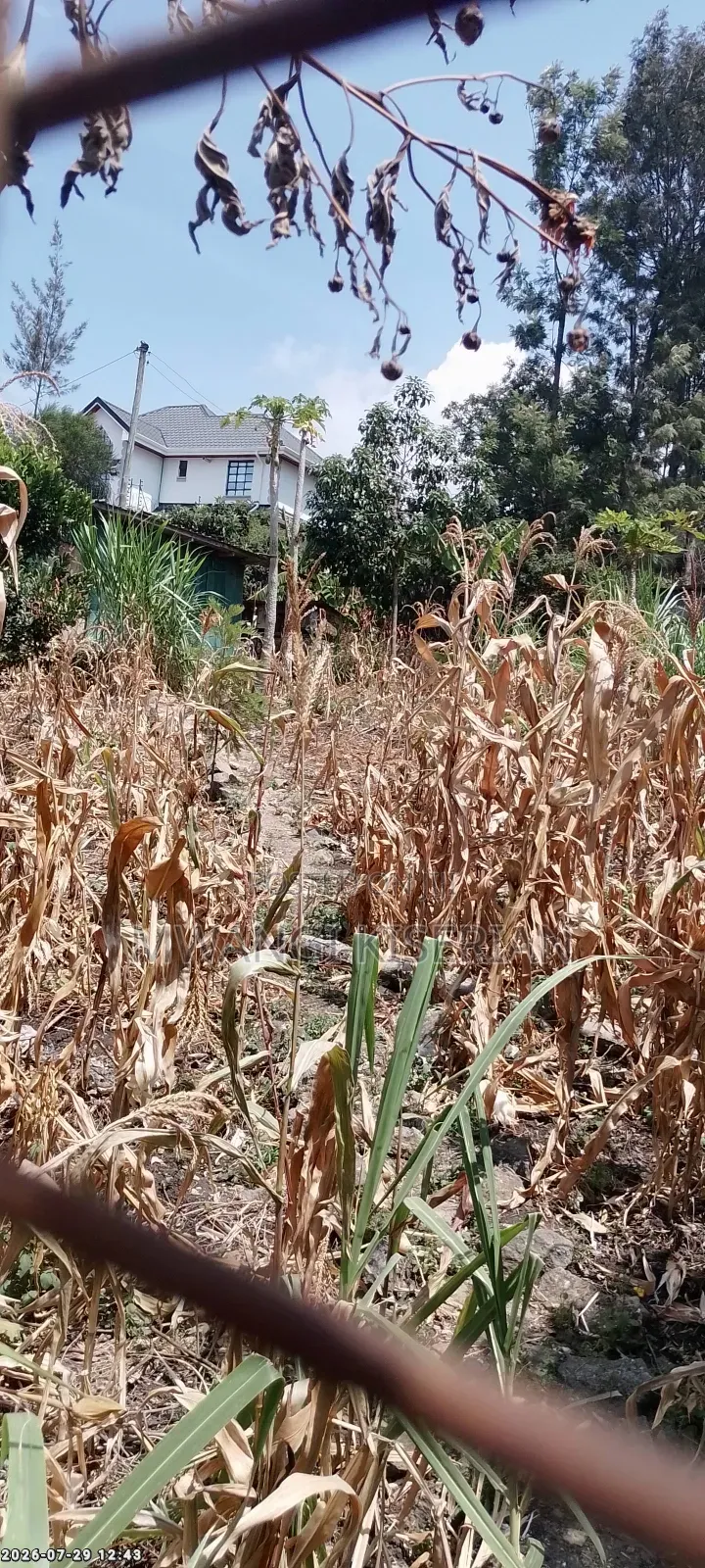100by100 Plot for Sale in Kiserian Kahuho